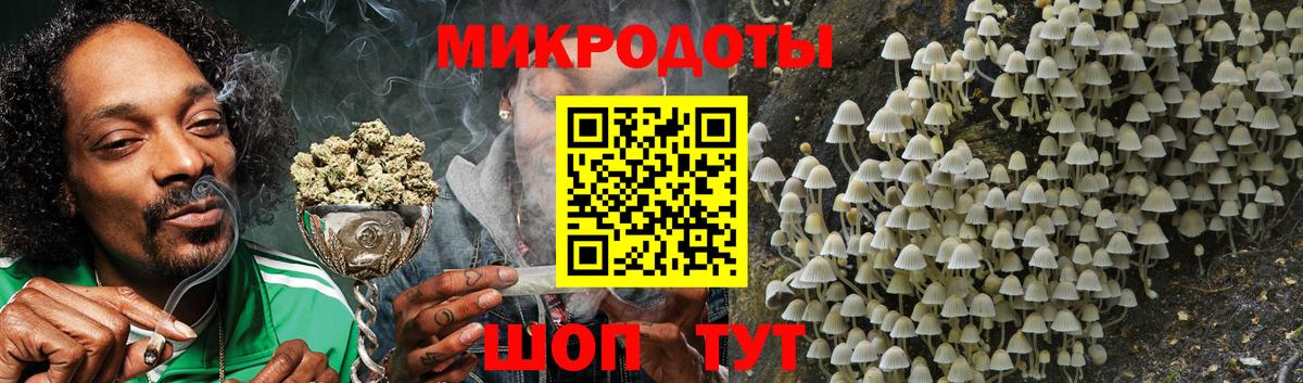 Самара  Галлюциногенные грибы Cubensis  Вход с VPN 