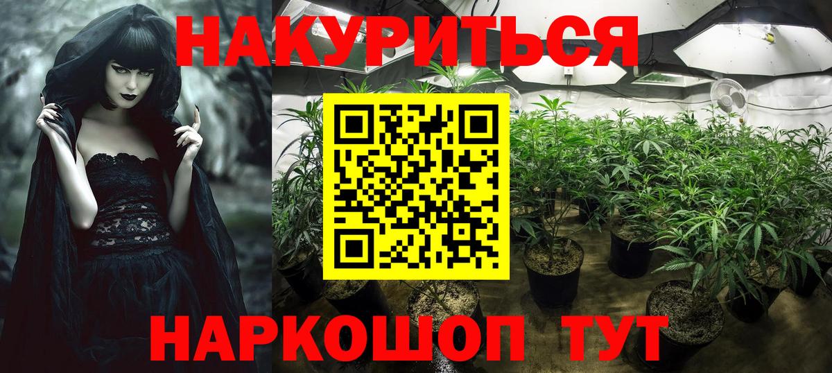 Марихуана VHQ  Вход с VPN  Самара  Каннабис планчик 